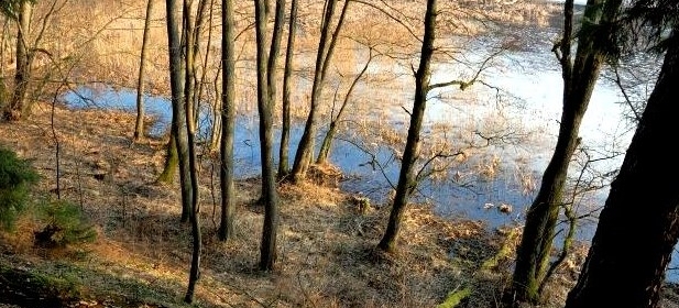 stacja terenowa w Suszku